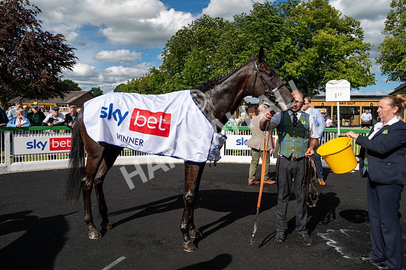 160624-Race 4-Align The Stars-5573 - Race 4