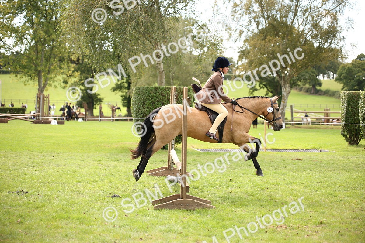 SBM_42343 - S13 - Pony Club Pony