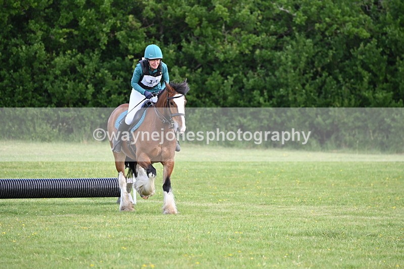 WJ6_2619 - Class 2 40cm