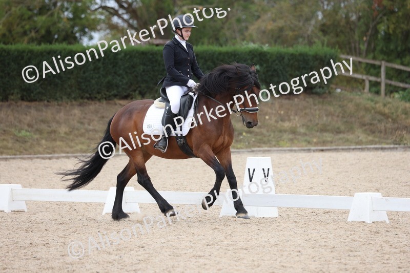 20250820-1230 - Class 18 - Elementary 5