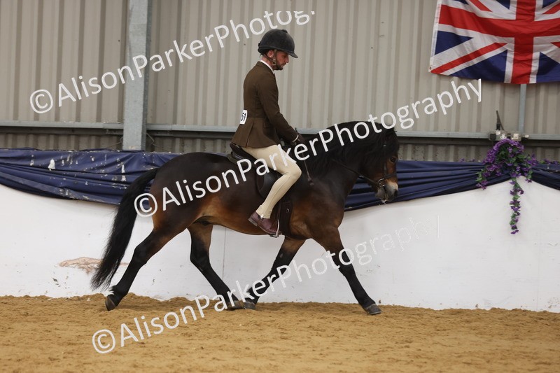 20260913-0610 - Class 126 - Novice Ridden