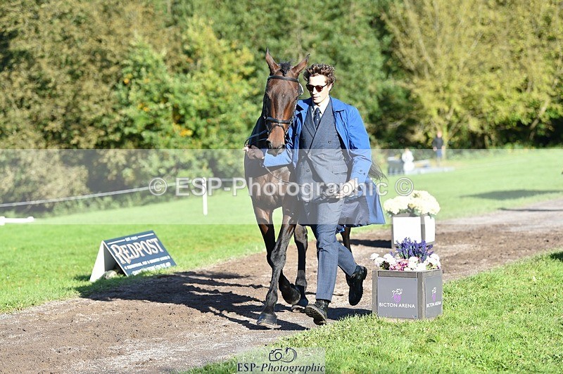 231022-102606-22475 - 462-SILVER.BAY-Marshall.David.Johnson-TrotUp+SJ