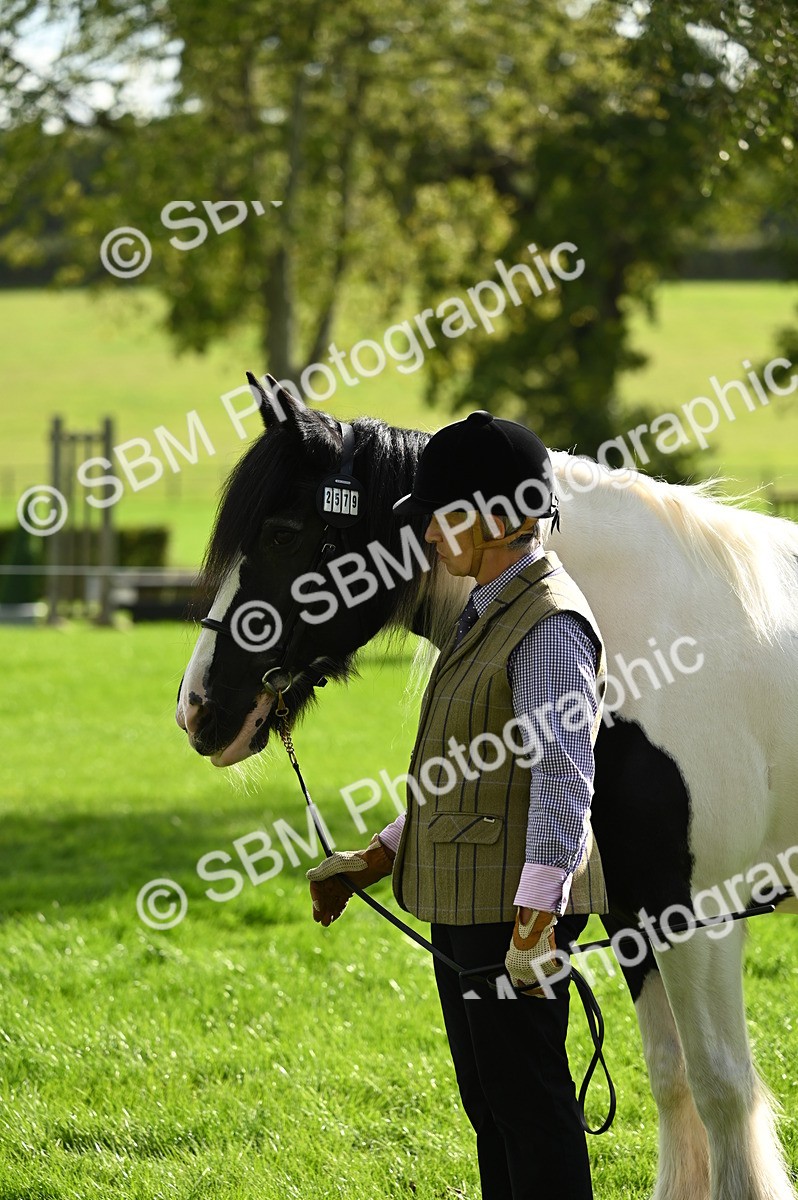 SBM_25049 - S5 - Novice & Newcomer In hand