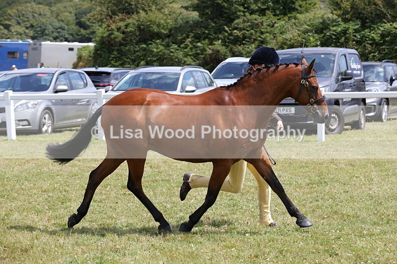 1X9A4813 - Class 35: Veteran In Hand