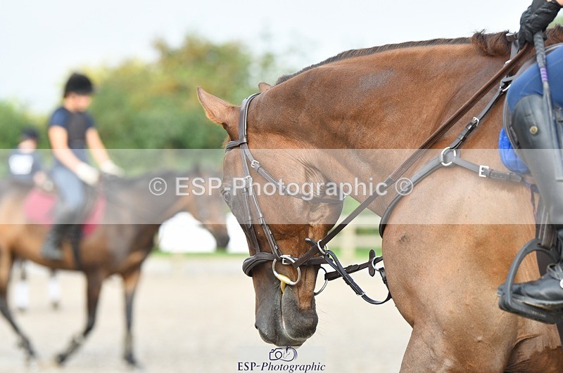 230817-085330-01586 - Kay's 1st Group - Arena