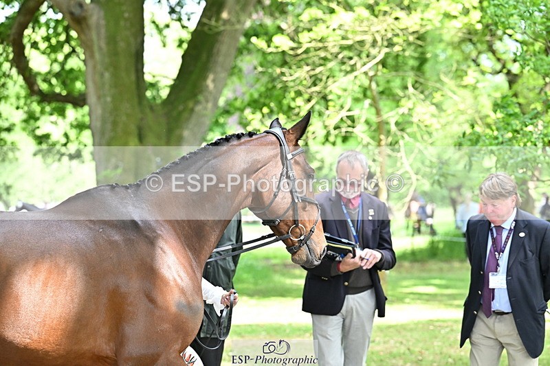 250521A-151728-00405 - B-325-Kat.Raybould-MONBEG.SHELBY