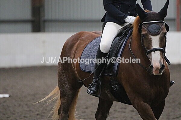 SIAL5649 - CAbin Dressage 5th july 2025