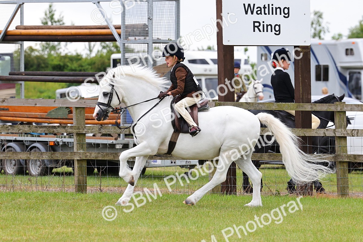 SBM_08690 - Class 42-43 - LIHS BSPS Heritage Working Sports Pony