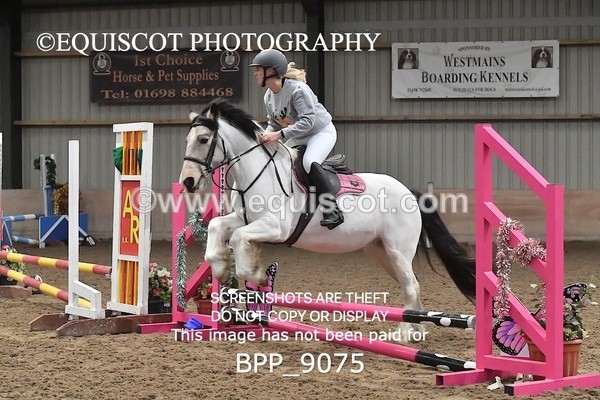 BPP_9075 - CLASS 3 50CM-70CM Pairs Show Jumping