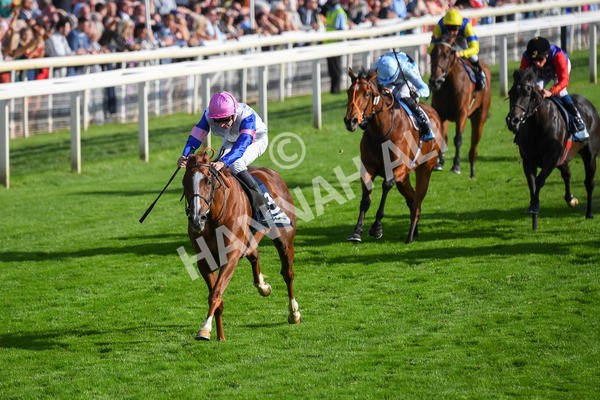 240823-Race 7-Nigiri-0866 - Race 7 5.20pm British EBF 40th Anniversary Fillies' Handicap