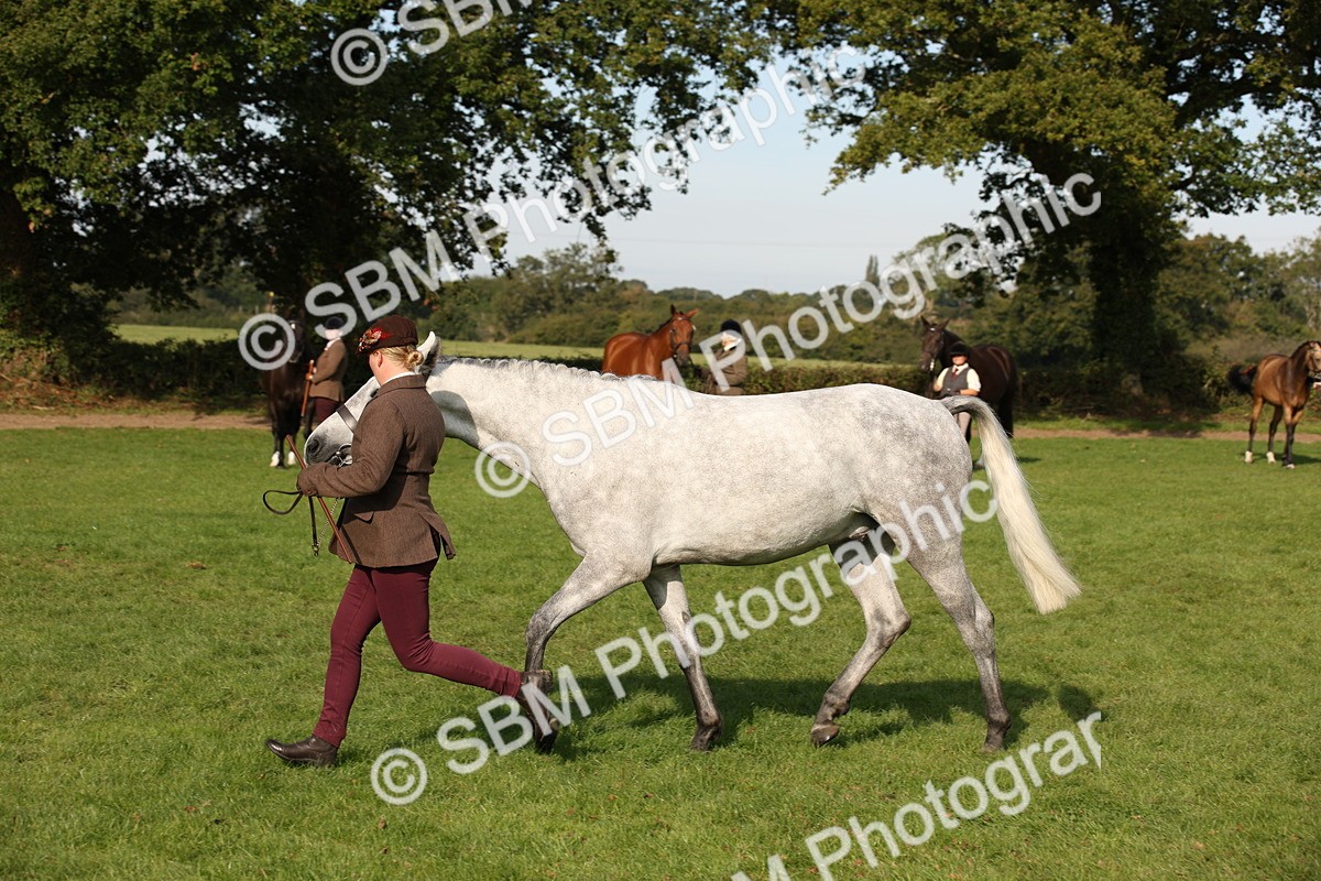 SBM_60100 - S53 - Hunter In Hand