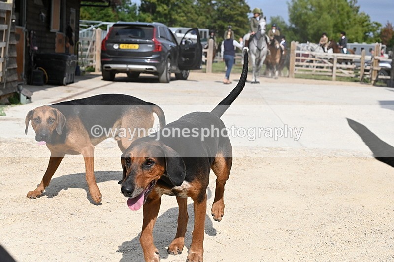 WJ6_3150 - Berks & Bucks - The Old farmhouse - Hound Exercise 20-08-25