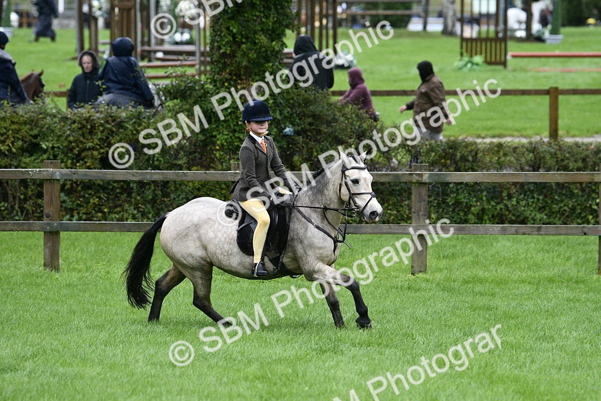 SBM_35546 - S30 - Nursery Stakes Working Hunter Pony