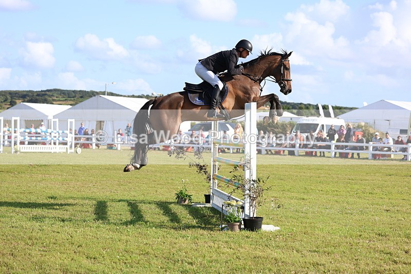 3E7A4327 - Class C: Showjumping Senior Foxhunter