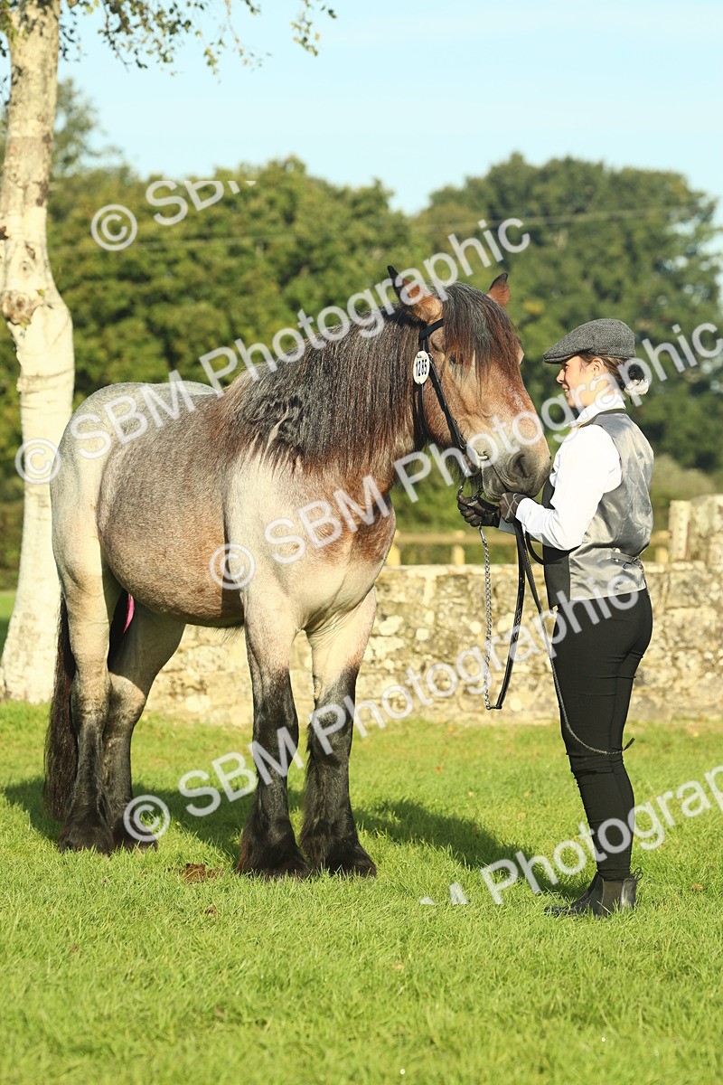 SBM_58592 - S37 - Starters In Hand Showing