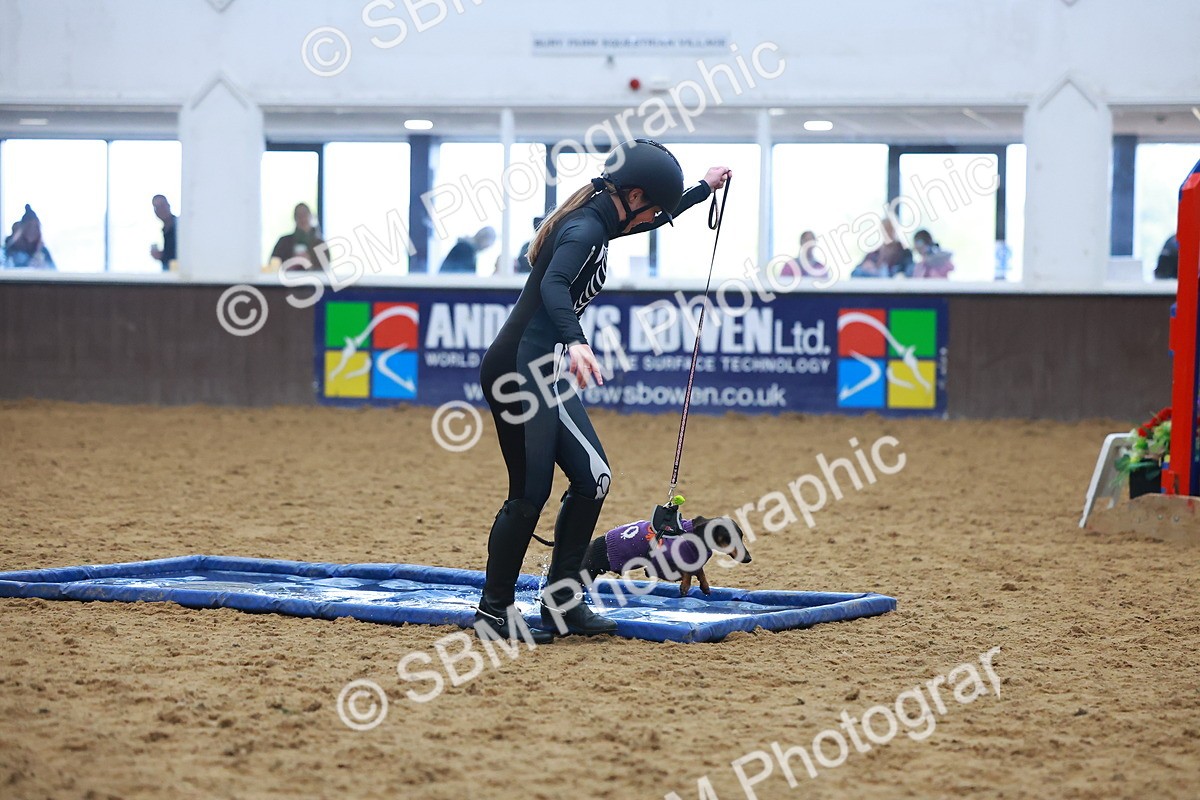 SBM_001611 - Class 3 - Horse & Hound (60cm)