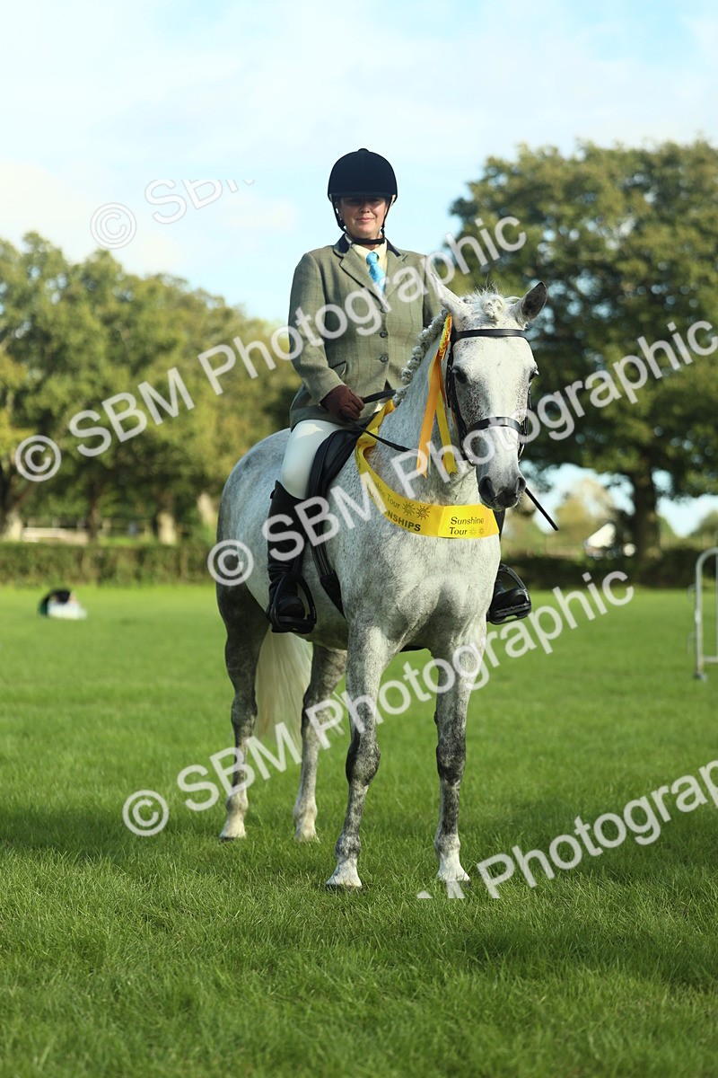 SBM_49916 - S32 - Novice & Newcomers Working Hunter