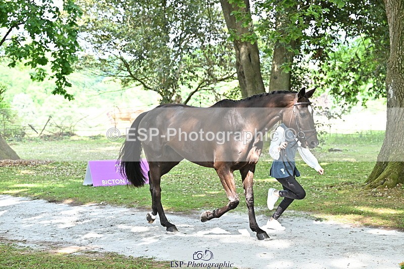 250521A-152200-00454 - B-379-Kelli.Frewin-HIDDEN.GOLD