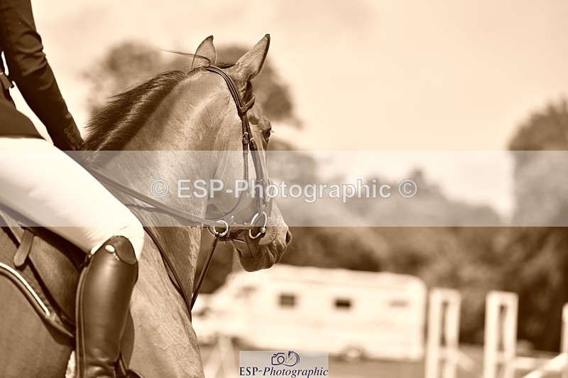 230706-132718-03083 - Cls 6 Newcomers & 1.10m Open