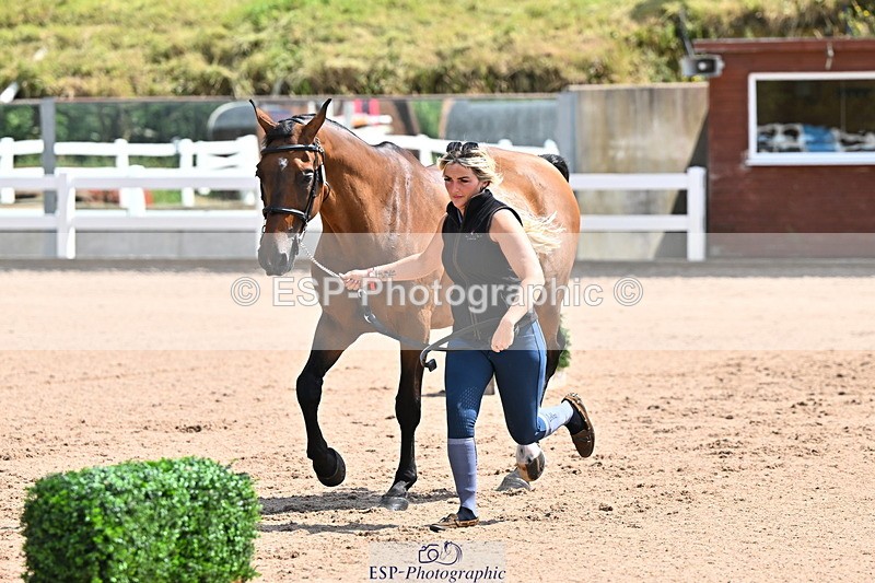 240718A-105240-01008 - Trot Up 11am to 12pm