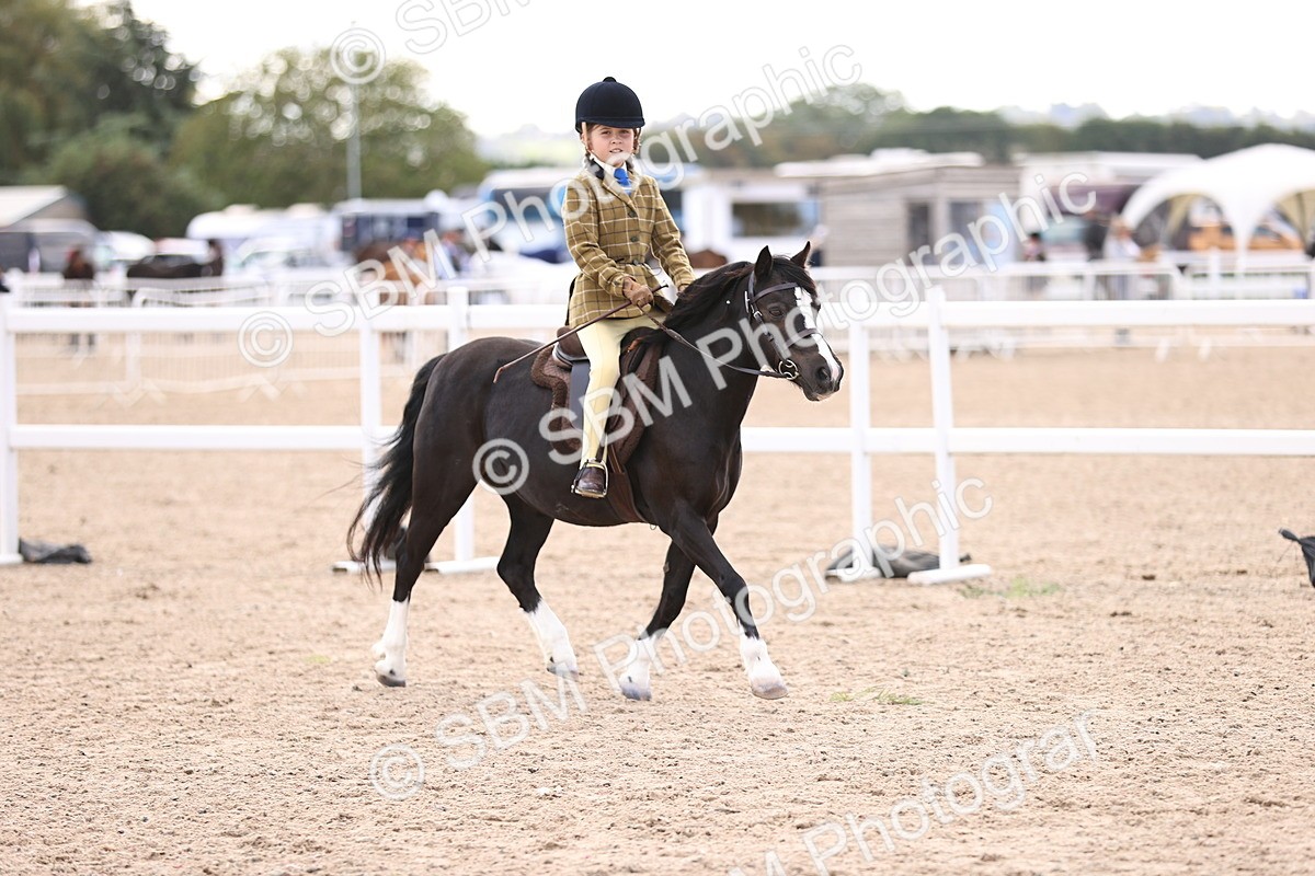 SBM_11659 - Class 408 - Grassroots Ridden - Walk & Trot