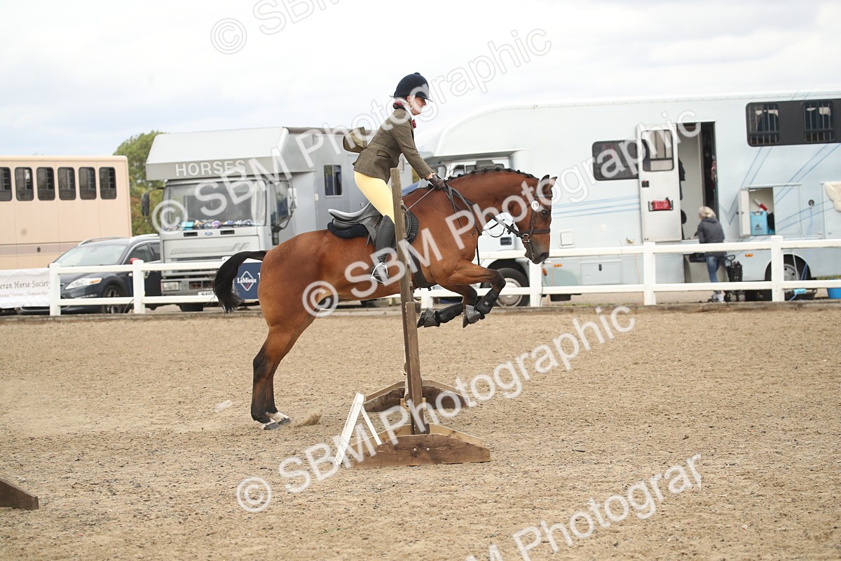 SBM_16654 - Class 507a - Working Veteran - 60cm (15-19)