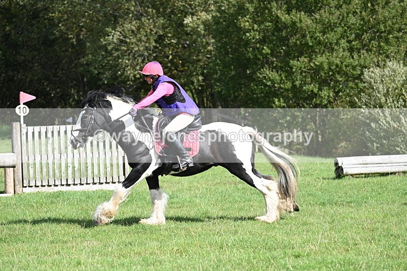 WJ7_0210 - Time 12:53 to 13:03