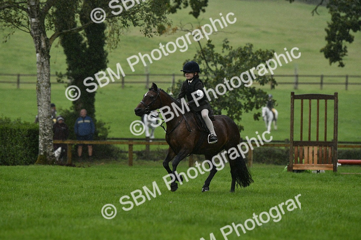 SBM_35499 - S30 - Nursery Stakes Working Hunter Pony