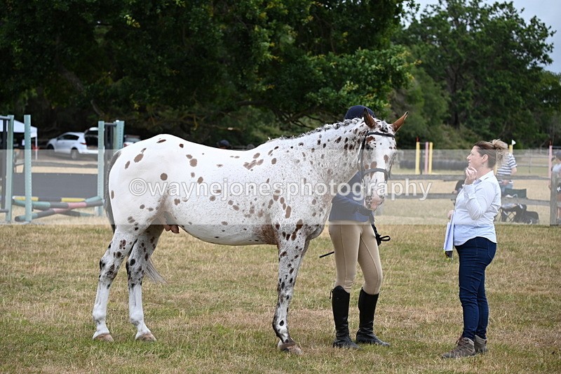 WJ6_4267 - Class 10 Coloured In-hand