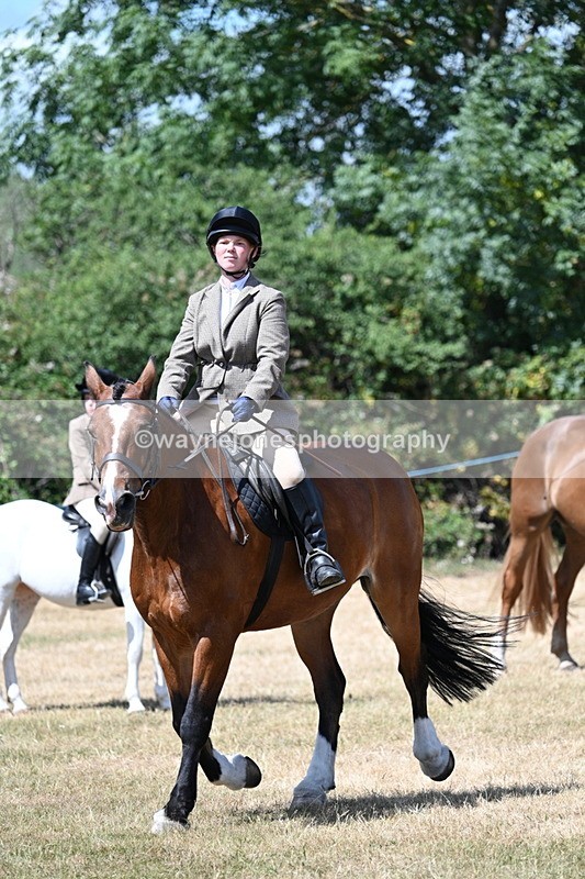 WJ7_3504 - Class 8 Ridden Veterans