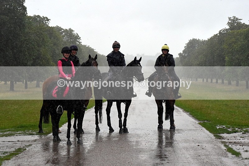 TT3_8851 - Time at Crossing 12:55 to 15:02