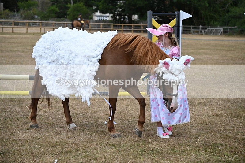 WJ6_8715 - Class 11 Fancy Dress