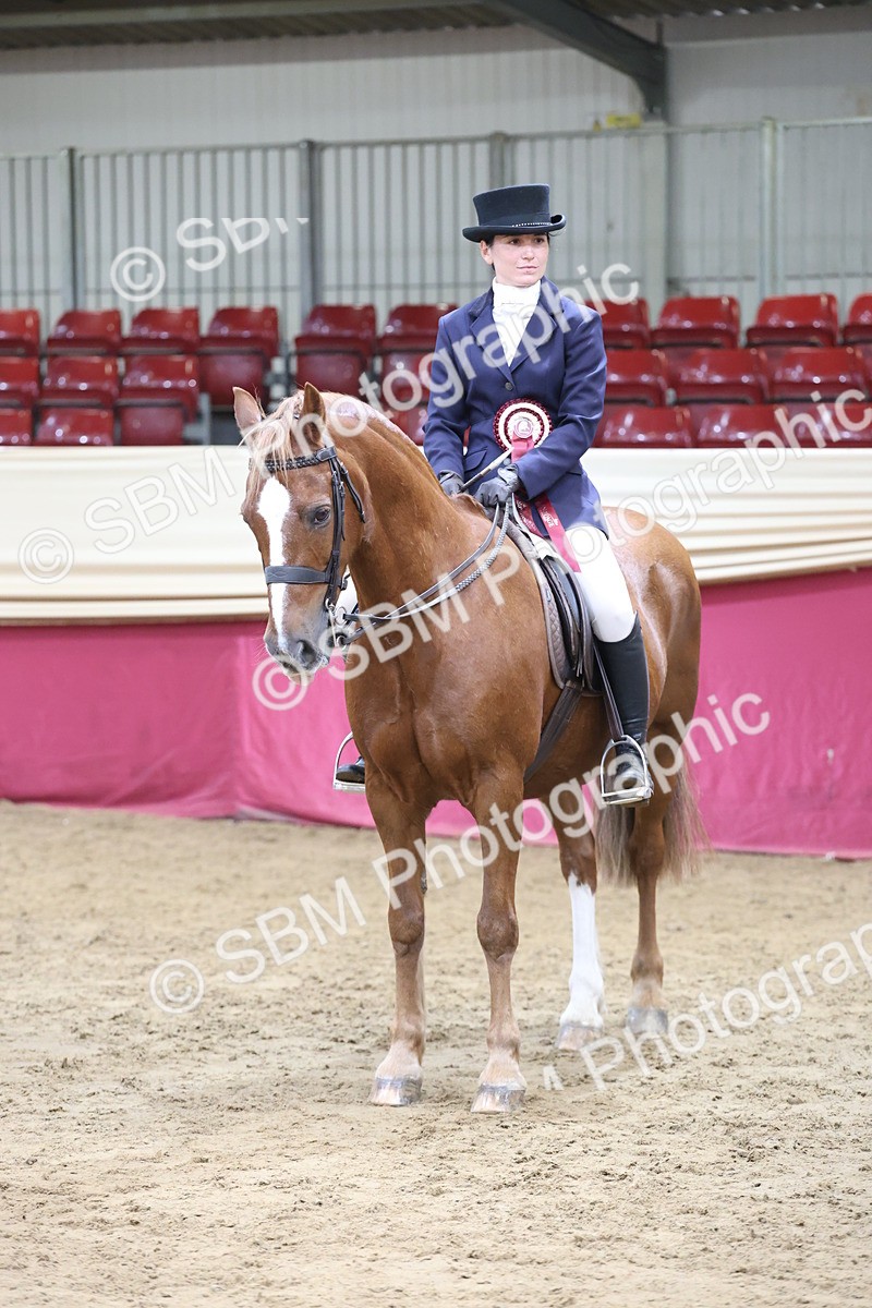 SBM_23657 - Class 904 - Supreme Final - Ridden Diamond