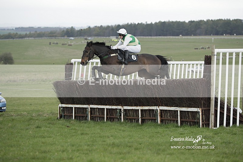 PtP 260323 0586 - New Forest Hounds Point-to-Point Larkhill 26/03/23
