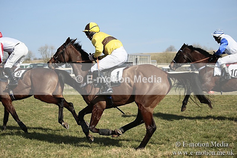 PtP 240218 152 - Vine & Craven Hunt Point-to-Point Barbury racecourse 24/02/18