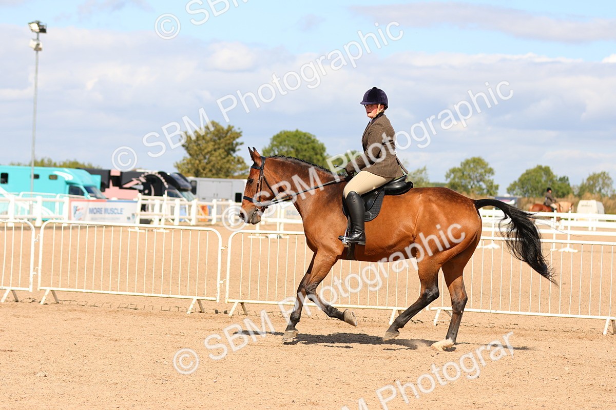 SBM_13497 - Class 212 - Ridden Hunter  - Large