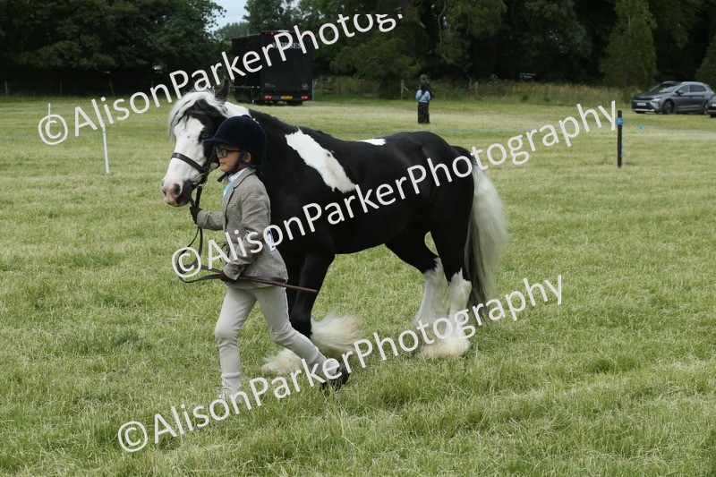 20260614-4279 - Class 18 - Best Junior Handler