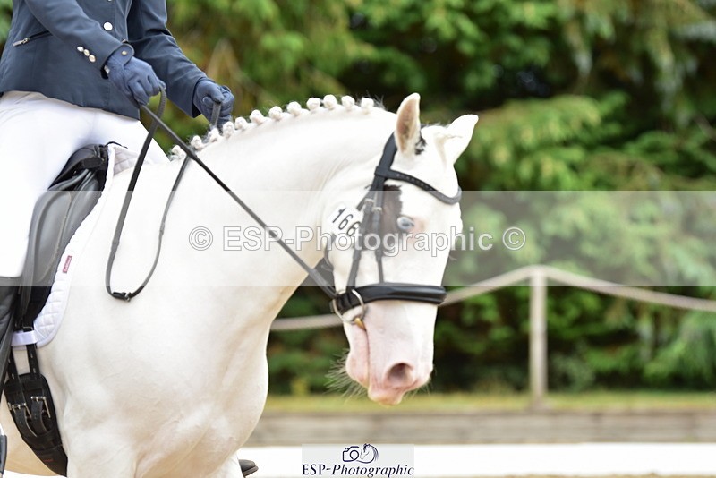 250719A-143540-06294 - 166-Ruby.Vincent-Silver.lining