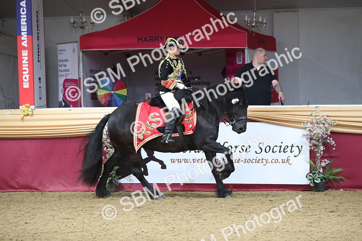 SBM_11999 - Class 106 Ridden Costume- Astride Adult (15-19)