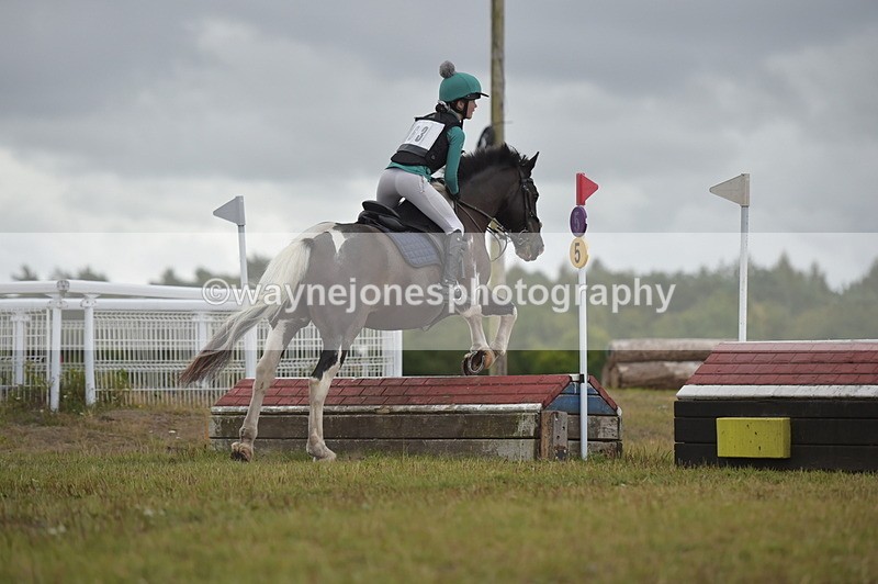 NGP_2712 - XC Time 11:37 to 11:57