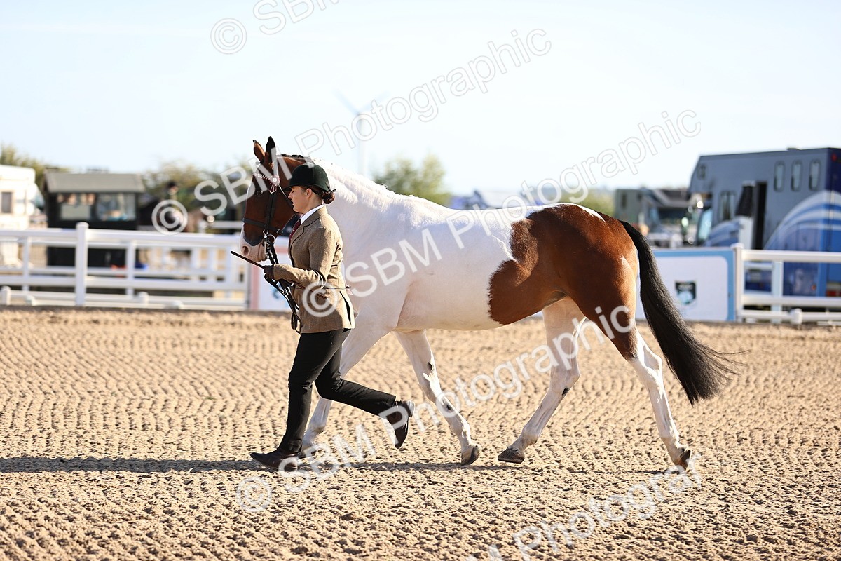 SBM_08372 - Class 401 - IH Veteran Horse