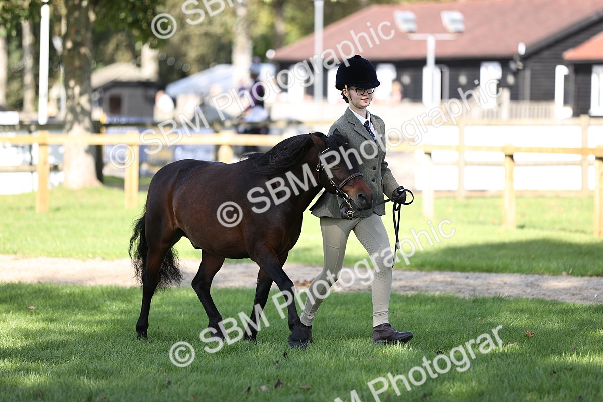SBM_26223 - S5 - Novice & Newcomers In Hand