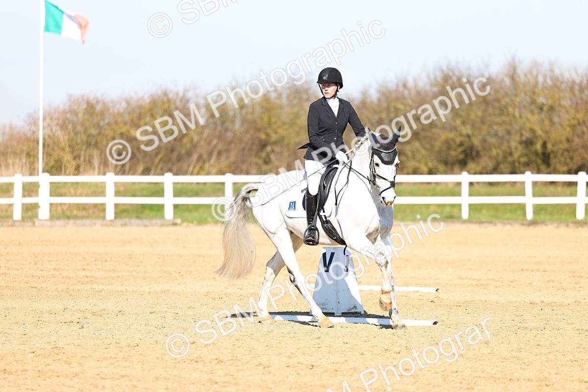 026A8296 - Class 5 - Novice 5