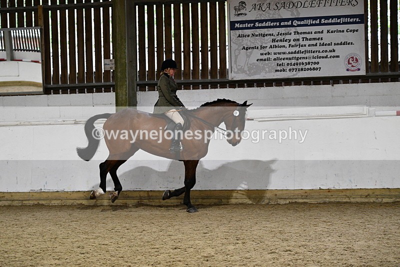 WJ5_8866 - Class 15 Ridden Show Horse