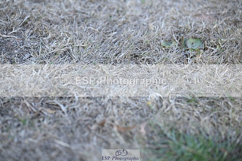 250822A-171143-24435 - Friday Presentations