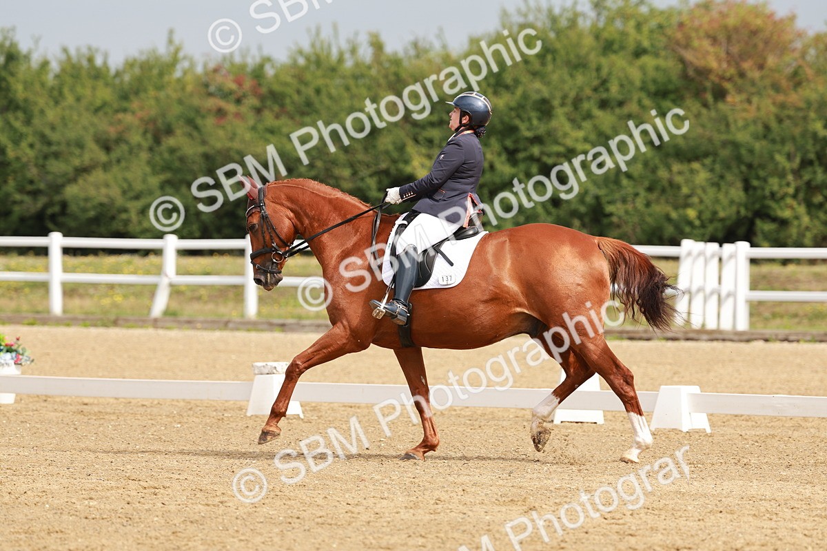 SBM_009023 - Class 12 - Elementary 6 - 9.30-10.34