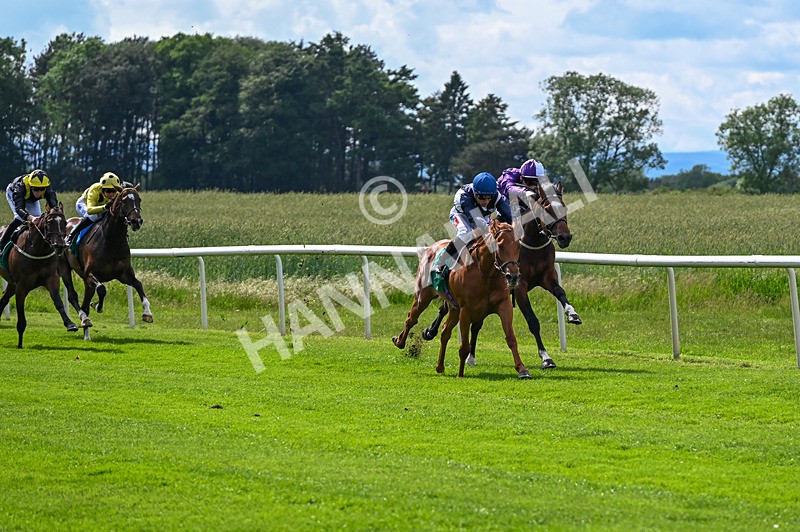 310526-Race 1-Alfred Wallace-7939 - Race 1 15.45pm Enter ITV7 For Free Novice Stakes