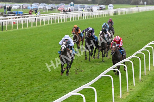 121024-Race 5-Almeric-3253 - Race 5 3.55pm Coral Racing Club EBF Maiden Stakes
