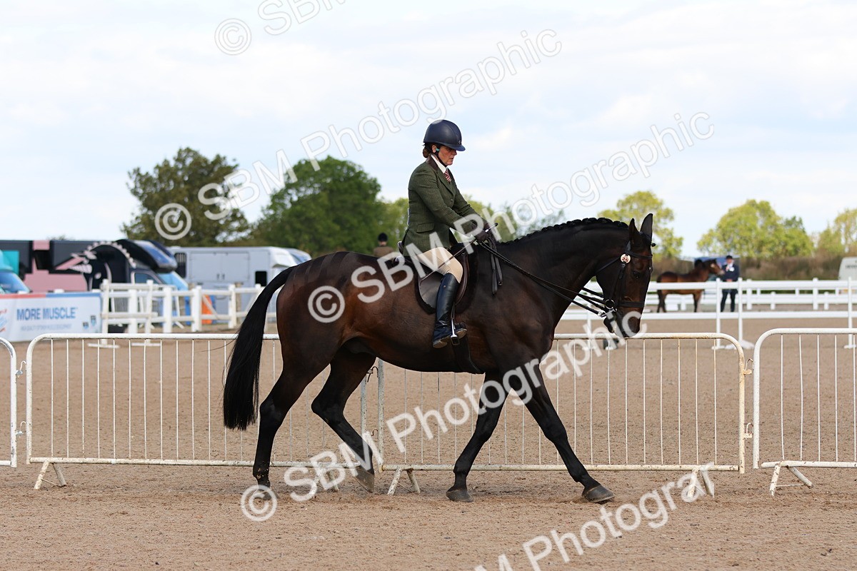 SBM_13477 - Class 212 - Ridden Hunter  - Large