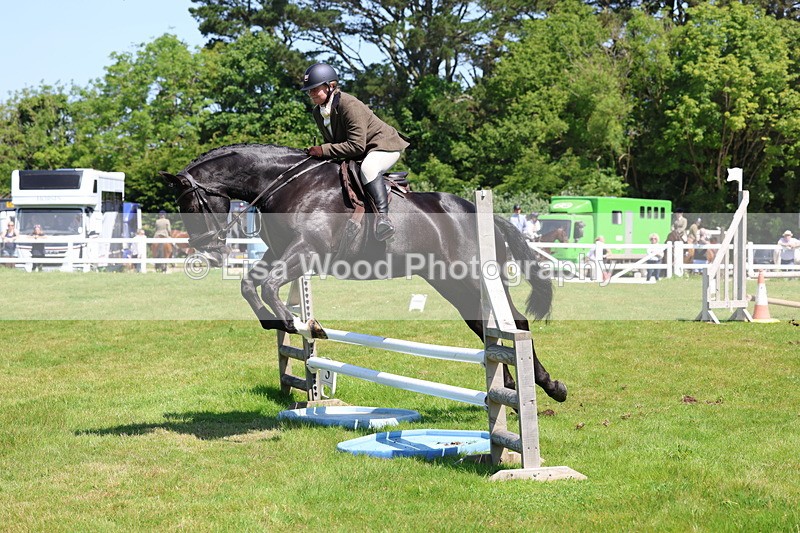3E7A7001 - Class 30: Novice Working Hunter